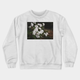 White Viburnum Flowers in Springtime Crewneck Sweatshirt